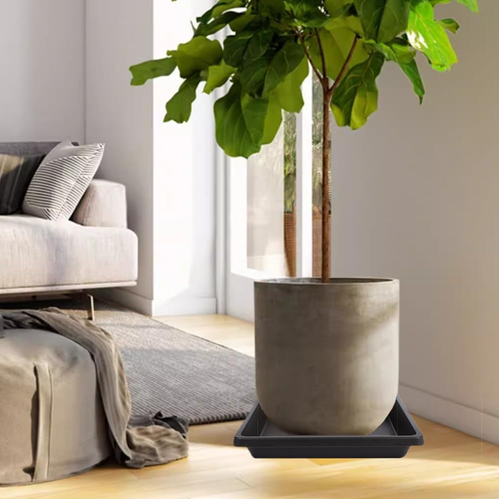 2 Pack Square Bonsai Tray - 8 Inch