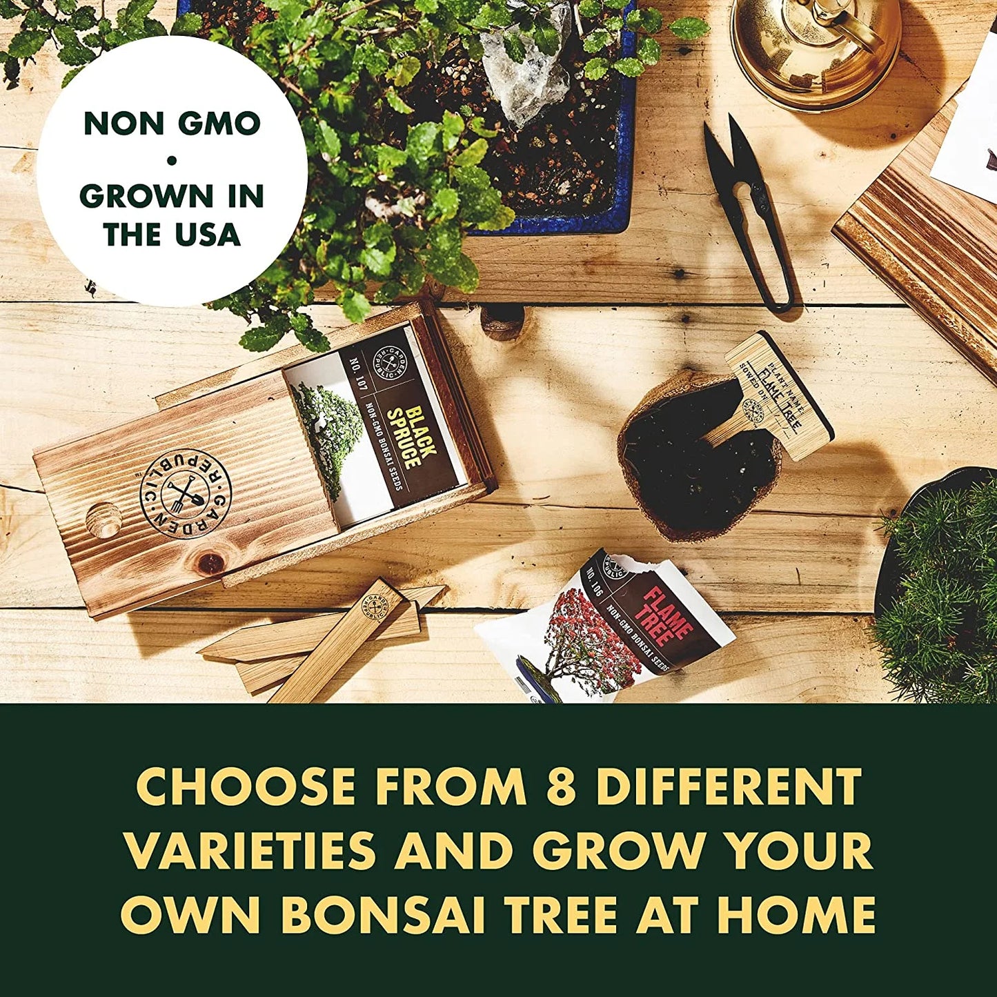 8-Variety Bonsai Seed Box with Wooden Plant Markers