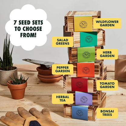 8-Variety Bonsai Seed Box with Wooden Plant Markers