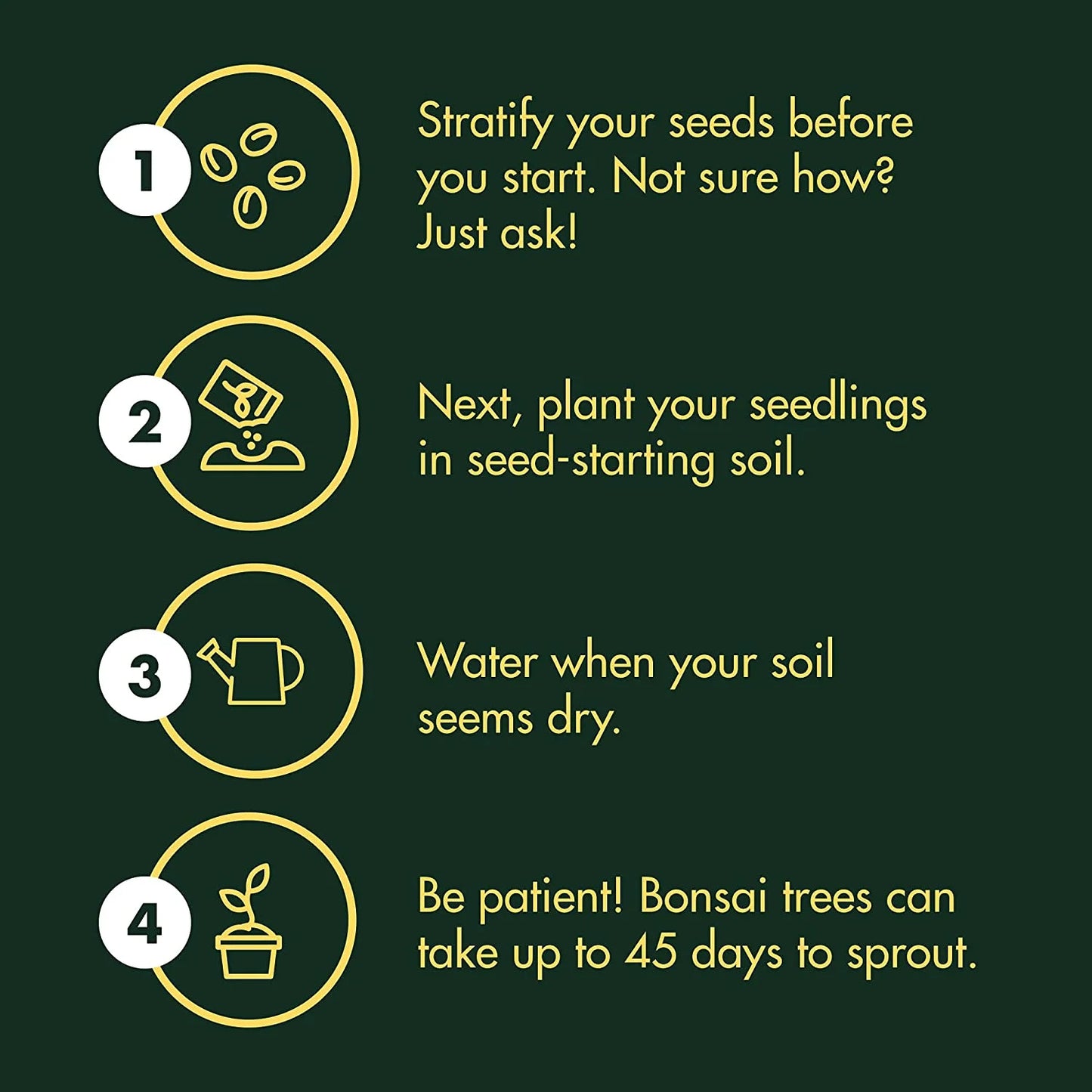 8-Variety Bonsai Seed Box with Wooden Plant Markers
