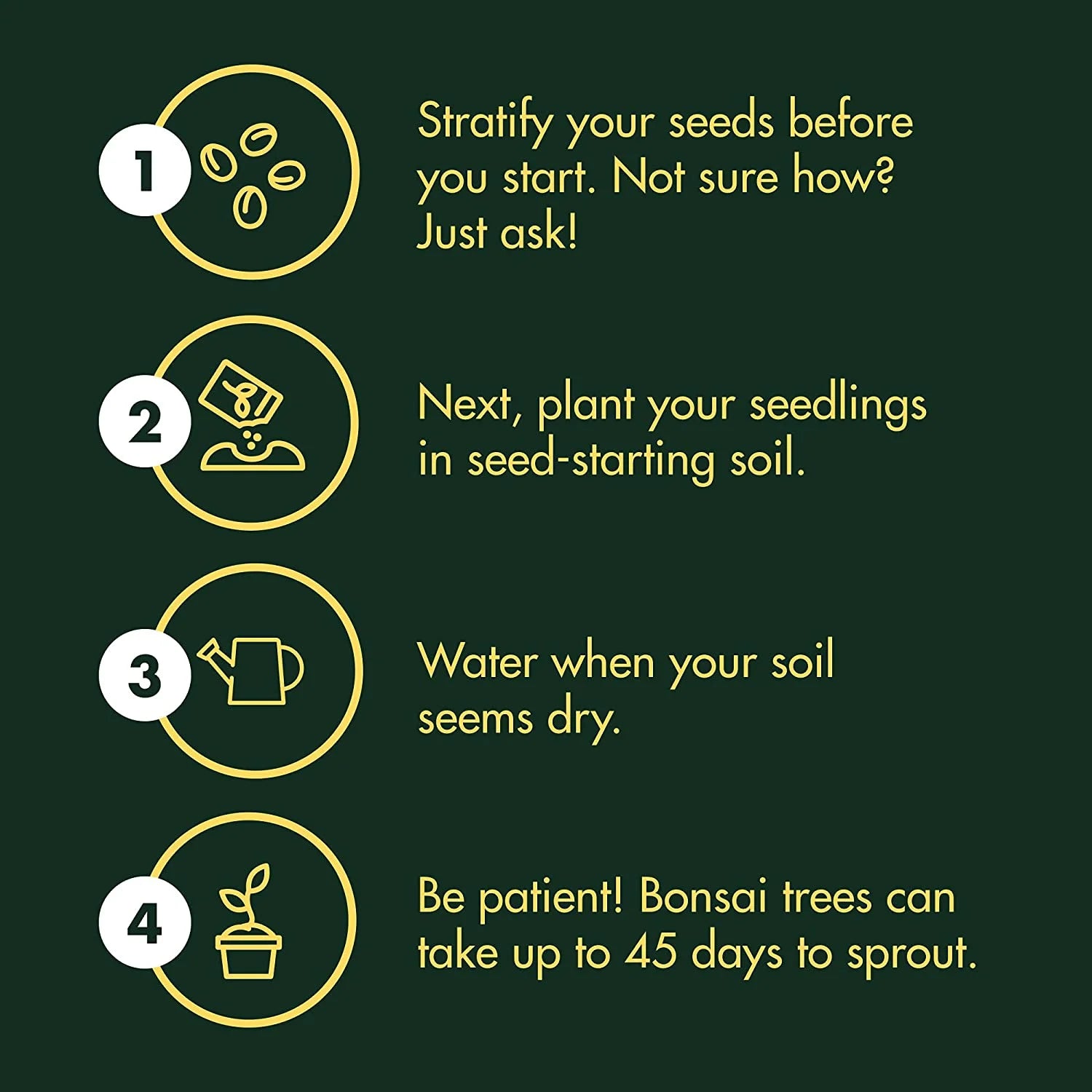 8-Variety Bonsai Seed Box with Wooden Plant Markers