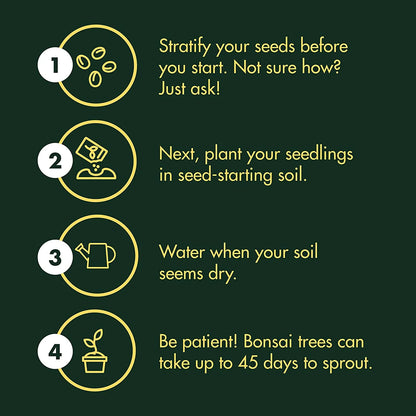 8-Variety Bonsai Seed Box with Wooden Plant Markers
