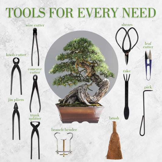 Bonsai Kit 15Pc Master Tool Set - Carbon Steel