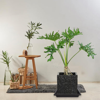 Square Plant Saucer 6 Inch 4 Pack 8 10 12 14 16 18 20 Inch Plant Drip Trays, Plant Trays for Pots, Plant Saucers for Indoors and Outdoors, Water Catcher Tray, Seed Starting Tray, Growing Trays