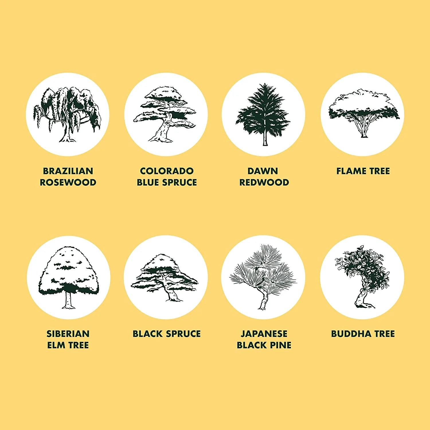 8-Variety Bonsai Seed Box with Wooden Plant Markers