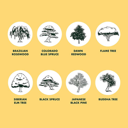 8-Variety Bonsai Seed Box with Wooden Plant Markers