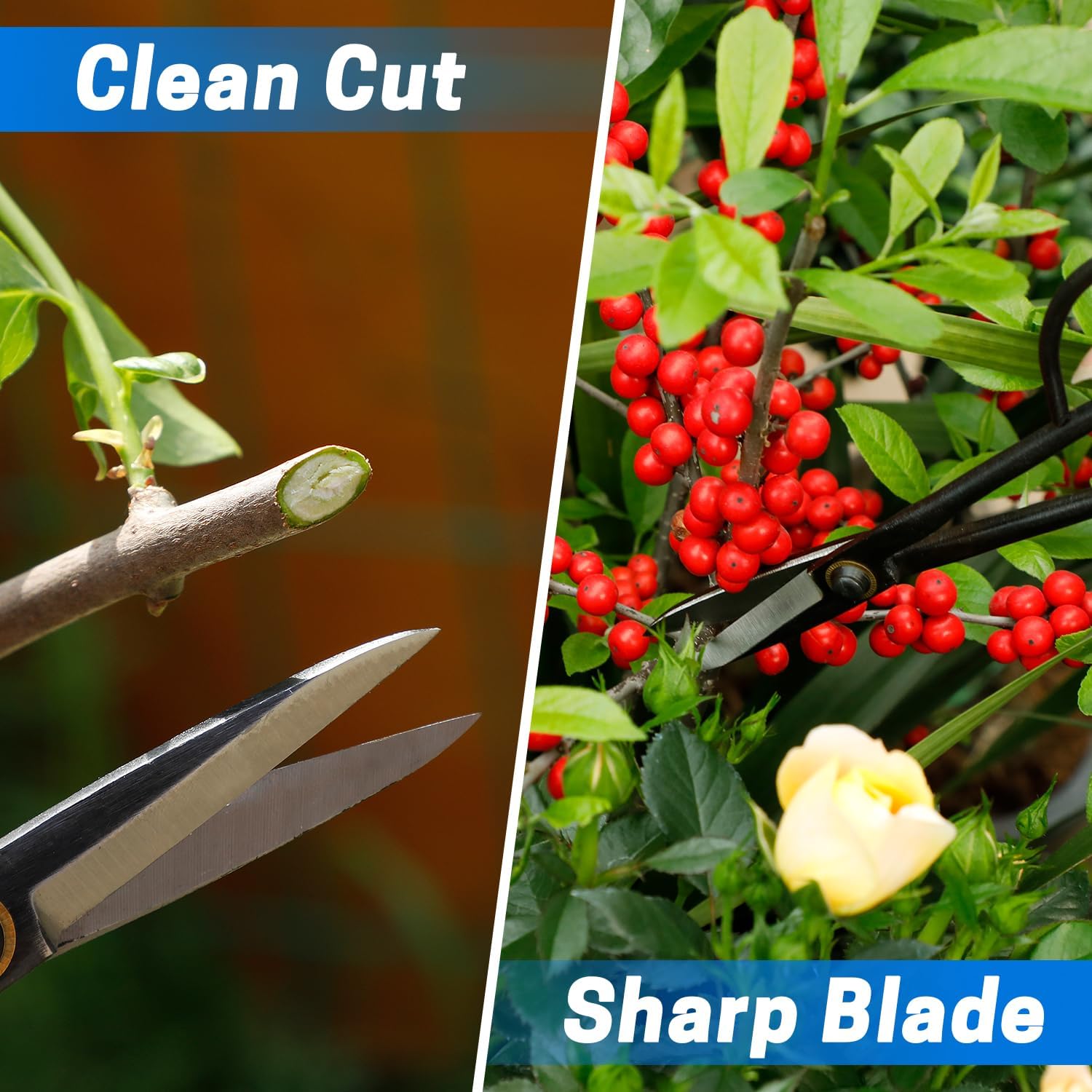 Japanese Bonsai Shears-Long Handle Gardening Scissors for Bonsai Trimming, Bonsai Scissors