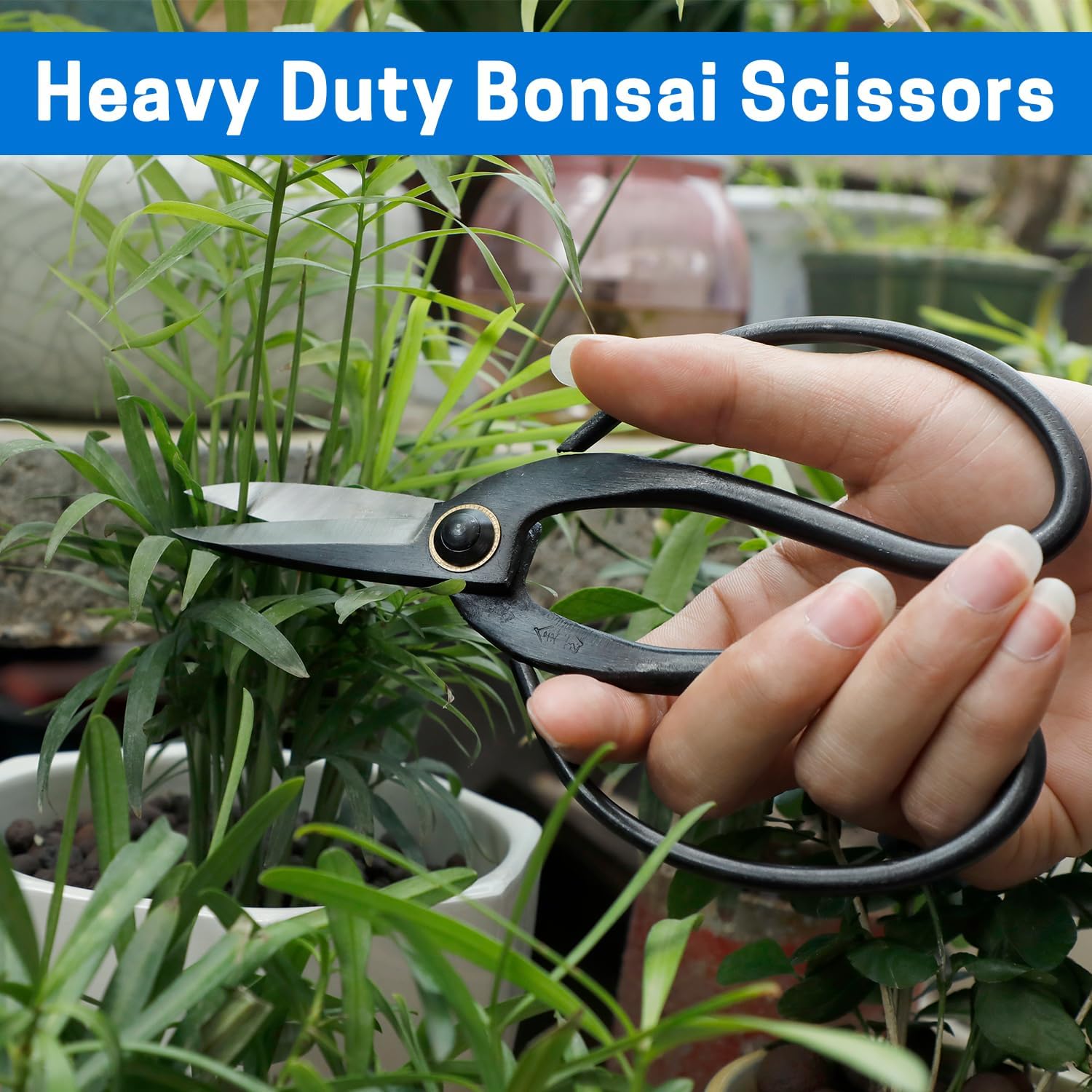Japanese Bonsai Pruning Scissors-Kintakashi Gardening Shears for Bonsai Trimming