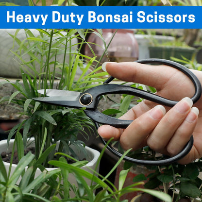 Japanese Bonsai Pruning Scissors-Kintakashi Gardening Shears for Bonsai Trimming