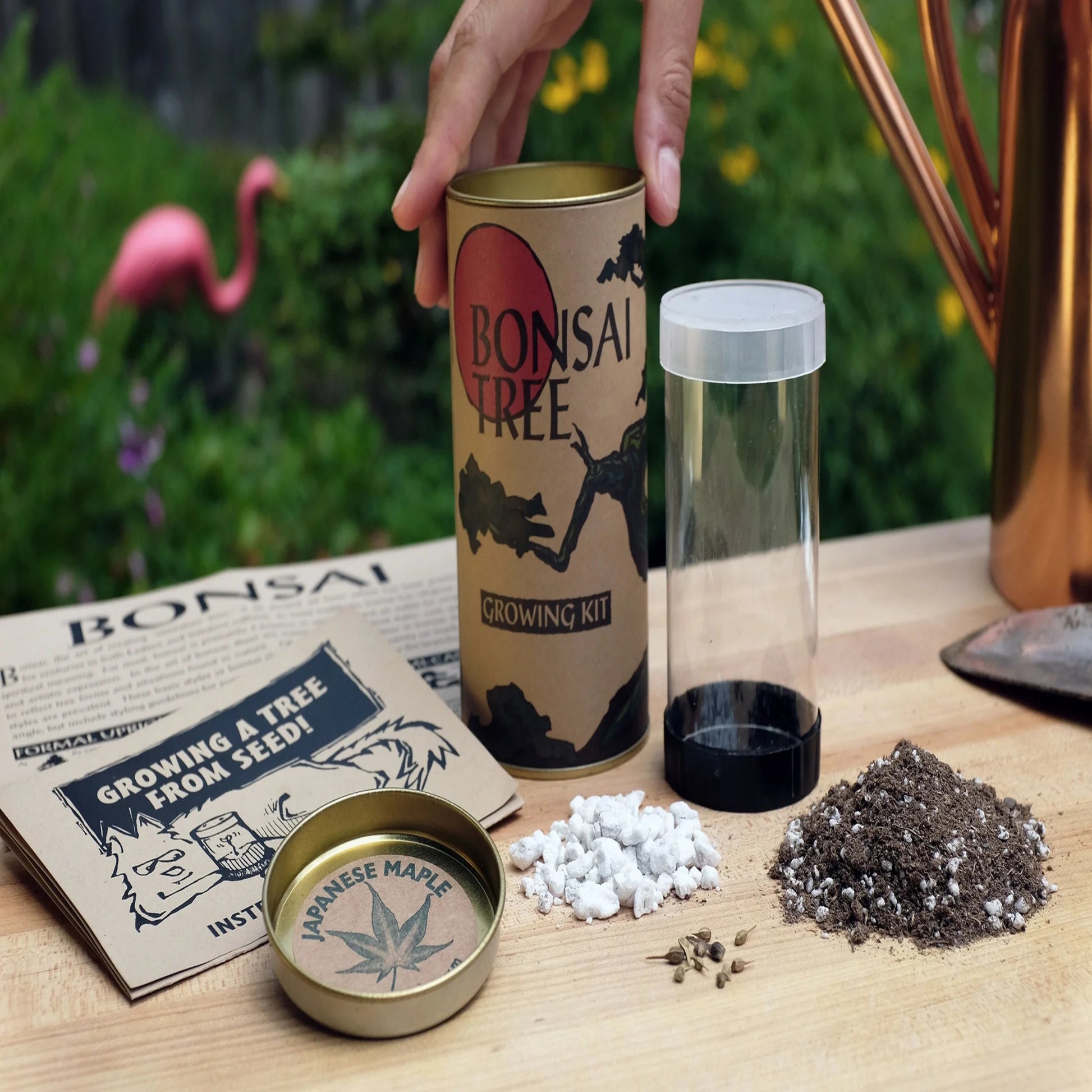 Bonsai Tree | Seed Grow Kit |