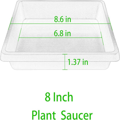 2 Pack Square Bonsai Tray - 8 Inch