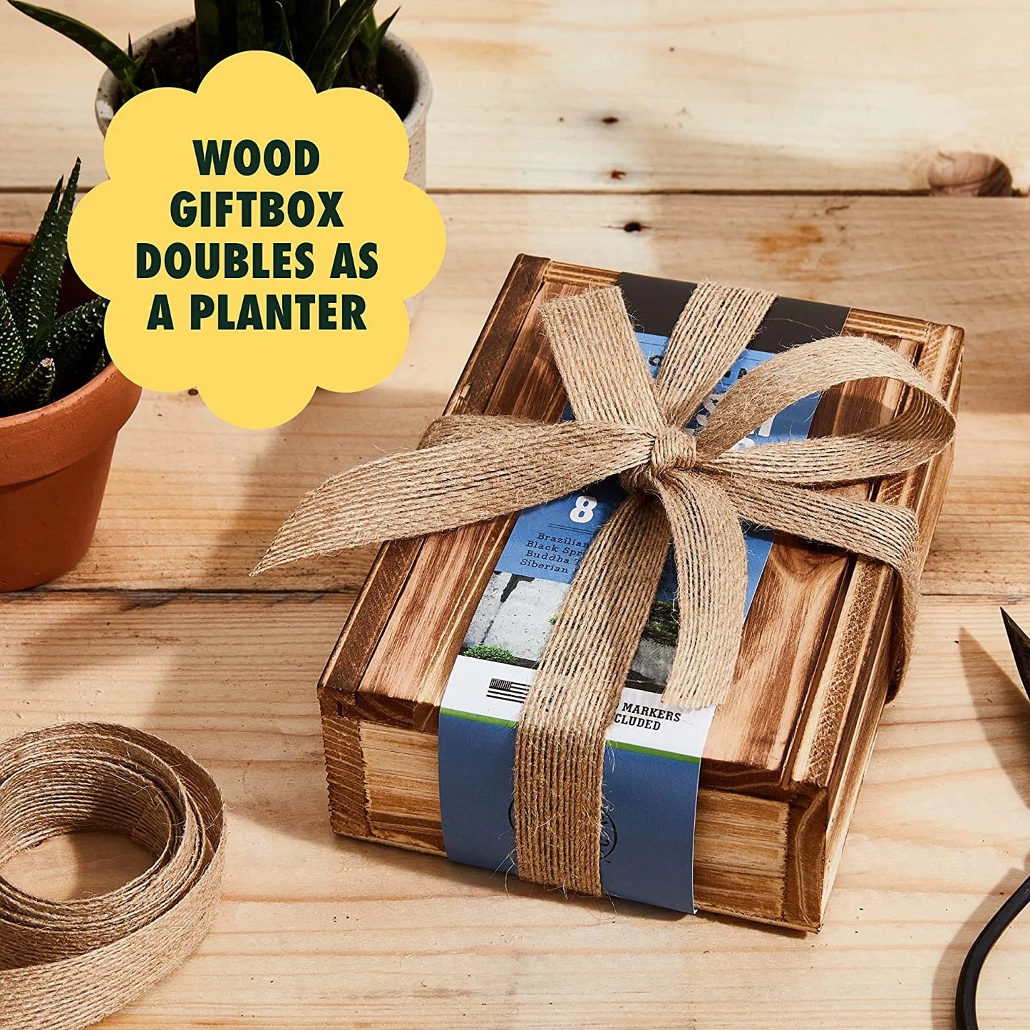 8-Variety Bonsai Seed Box with Wooden Plant Markers