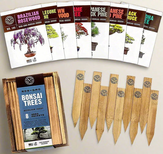 8-Variety Bonsai Seed Box with Wooden Plant Markers