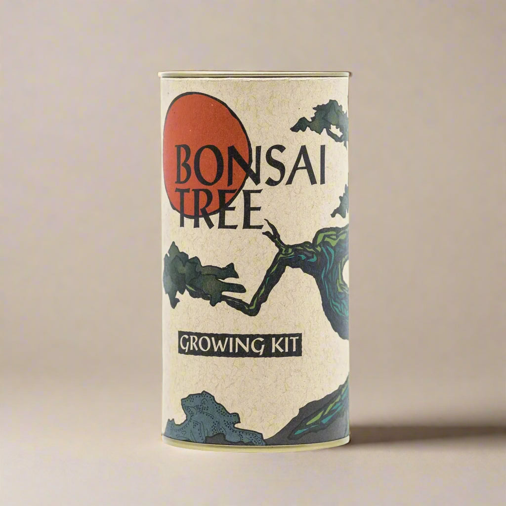 Bonsai Maple Tree Seed Grow Kit