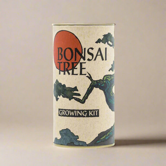 Bonsai Maple Tree Seed Grow Kit